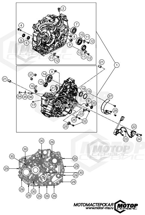 KTM Naked 250 Duke w/o ABS B.D. White 2019 ENGINE CASE