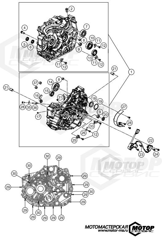 KTM Naked 250 Duke B.D. White w/o ABS 2020 ENGINE CASE