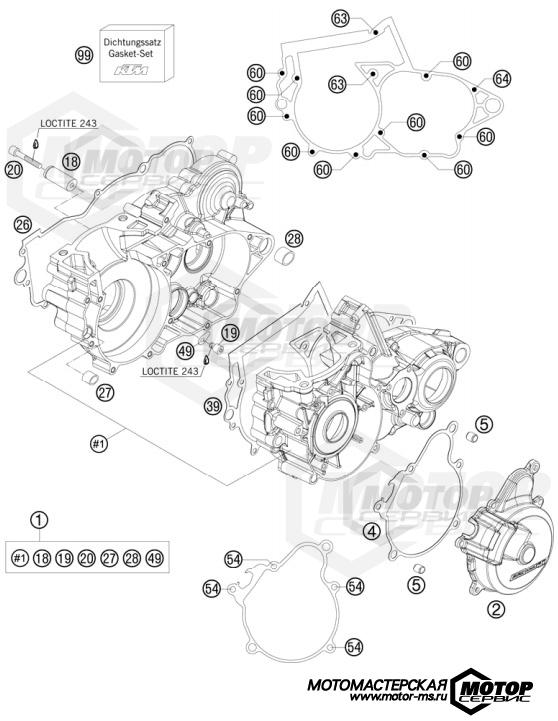 KTM Enduro 250 EXC Six Days 2010 ENGINE CASE