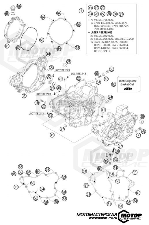KTM MX 250 SX-F Factory Replica Musquin 2010 ENGINE CASE